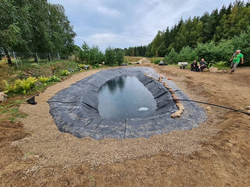 Tvenkinio tiesimas danga.