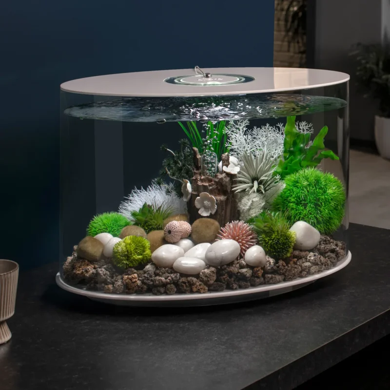 Akvariumo dekoracija Gėlės ant žievės