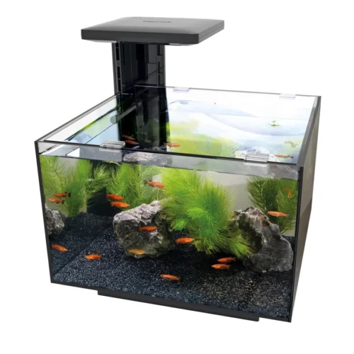Akvariumo komplektas QubiQ 20.