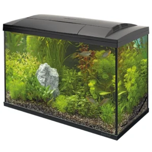 Akvariumo komplektas SF Start 100 Tropical black. Akvariumo komplektas SF Start 100 Tropical black.