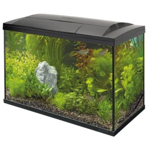 Akvariumo komplektas SF Start 150 Tropical black. Akvariumo komplektas SF Start 150 Tropical black.