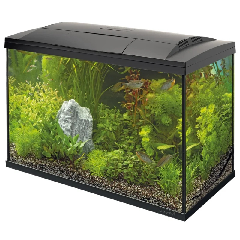 Akvariumo komplektas SF Start 150 Tropical black. Akvariumo komplektas SF Start 150 Tropical black.