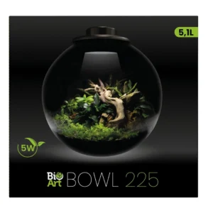 Mini terariumas BioArt Bowl 225 Mini terariumas BioArt Bowl 225