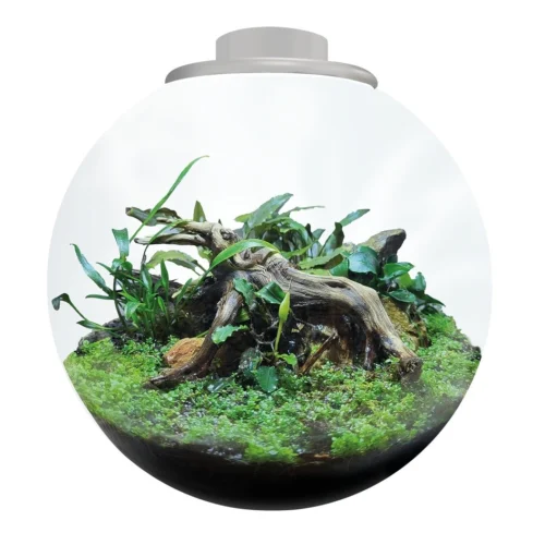 Mini terariumas BioArt Bowl 225