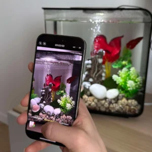 Akvariumas biOrb FLOW