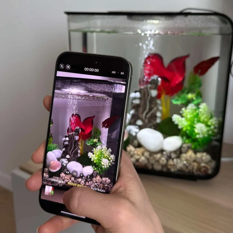 Akvariumas biOrb FLOW