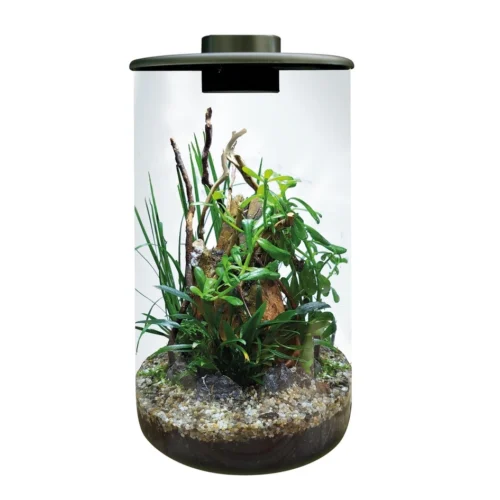 Mini terariumas BIOART Cylinder 285 black.