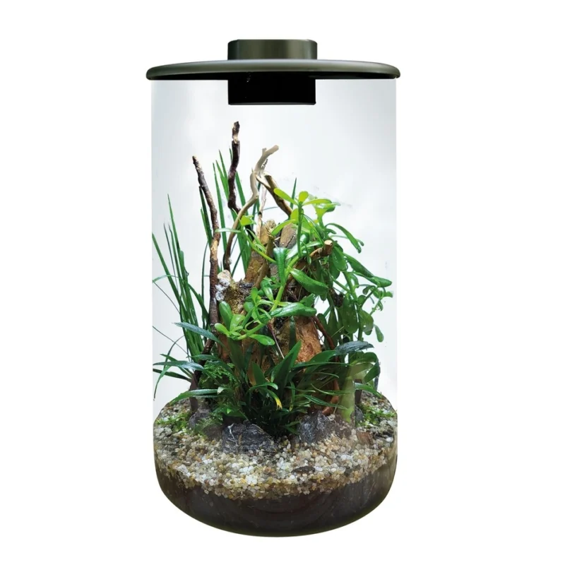 Mini terariumas BIOART Cylinder 285 black.