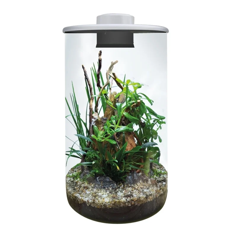 Mini terariumas BIOART Cylinder 285 white.
