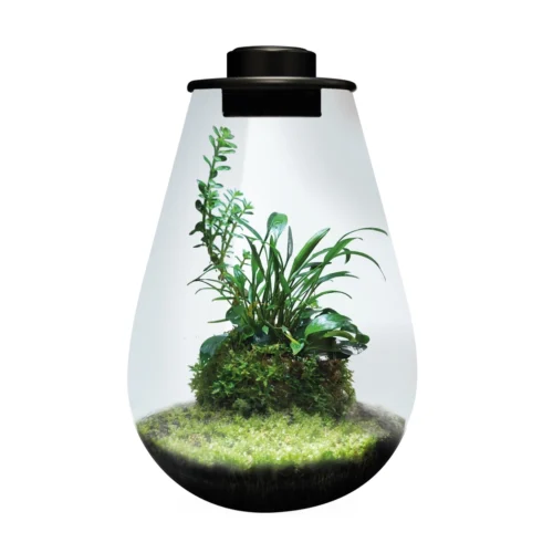 Mini terariumas BioArt Drop 285 black