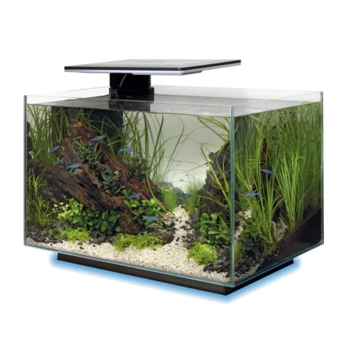 Akvariumo komplektas Quadro 40 MULTICOLOUR