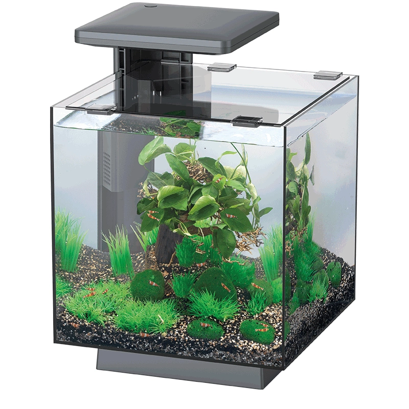 Akvariumas SF QubiQ 15 LED BLACK.