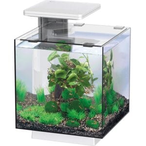 Akvariumas SF QubiQ 15 LED WHITE