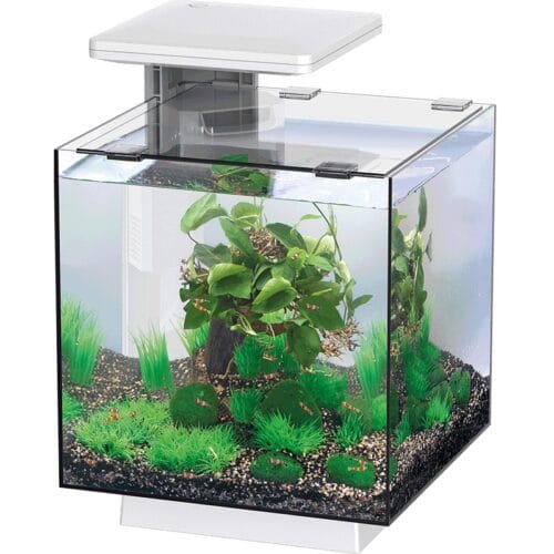 Akvariumas SF QubiQ 15 LED WHITE