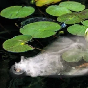 Rūko generatorius su LED apšvietimu SuperFish Pond Fogger