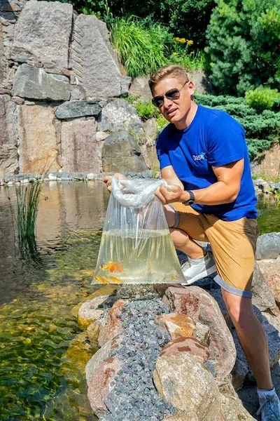 Tvenkinio priežiūra