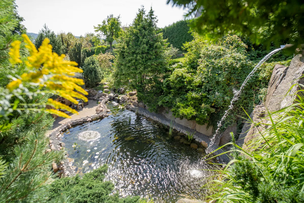 Koi tvenkinys su dviem kriokliais