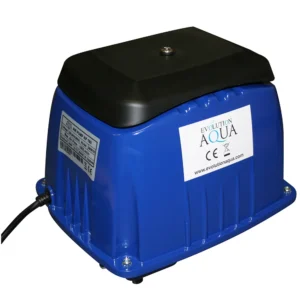 Orapūtė tvenkiniams