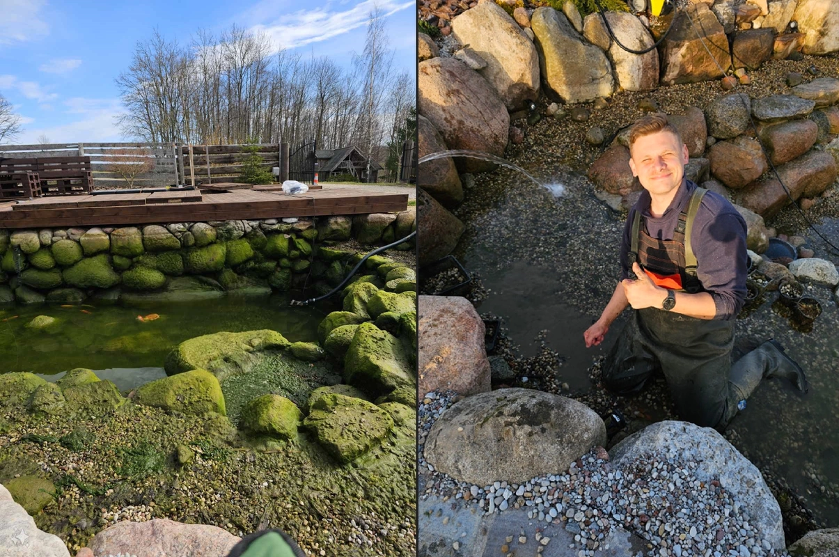 Dekoratyvinio tvenkinio valymas