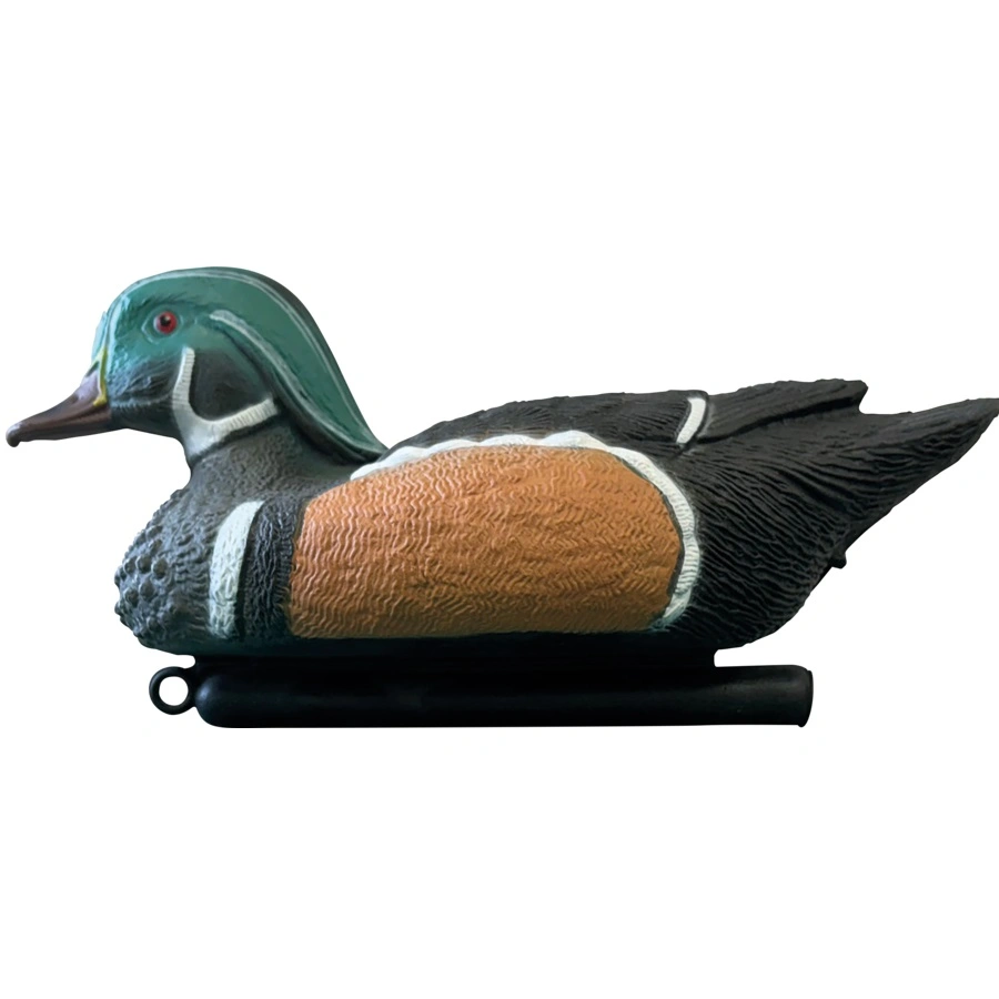 Dekoratyvinė tvenkinio antis Mandarin Duck