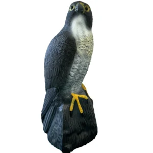 Dekoratyvinis sakalas Falcon