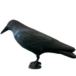 Dekoratyvinė varna Crow