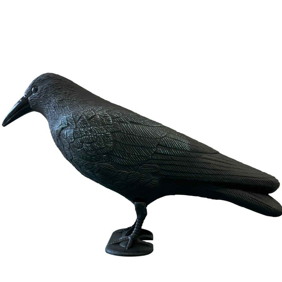 Dekoratyvinė varna Crow